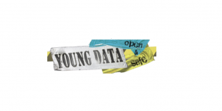 Logo youngdata