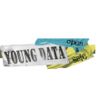 Logo youngdata